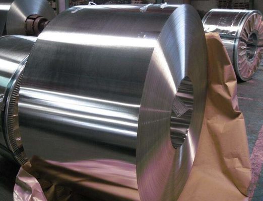 BS 표준 진판 2.8/5.6 5.6/5.6 8.4/8.4 0.12mm Mr SPTE T2 T3 T5 진판